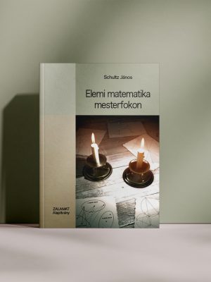Schultz János - Elemi matematika mesterfokon